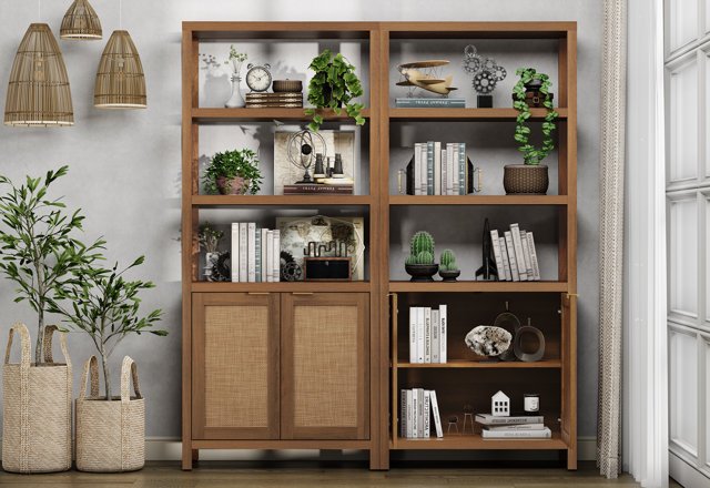 Top-Rated Bookcases with Doors